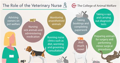 Responsibilities Of Being A Veterinarian