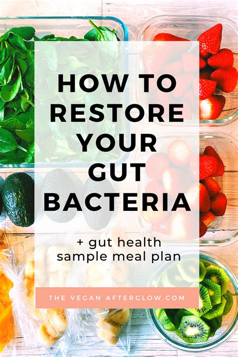 Restore For Gut Health Website