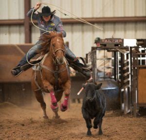 5 Tips Rodeo Women's Health