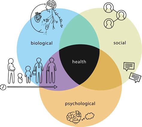 Role Of Psychology In Health