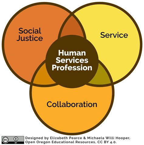 Roles Of Human Services Professionals