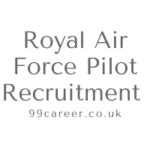 Royal Air Force Pilot Requirements