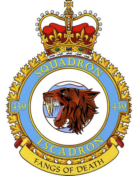 Royal Air Force Squadron History