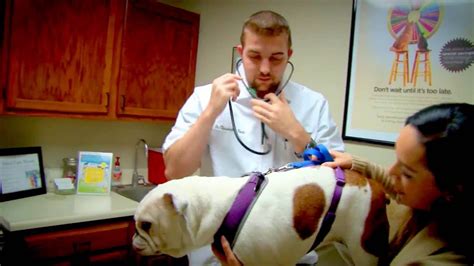 San Antonio Veterinarian