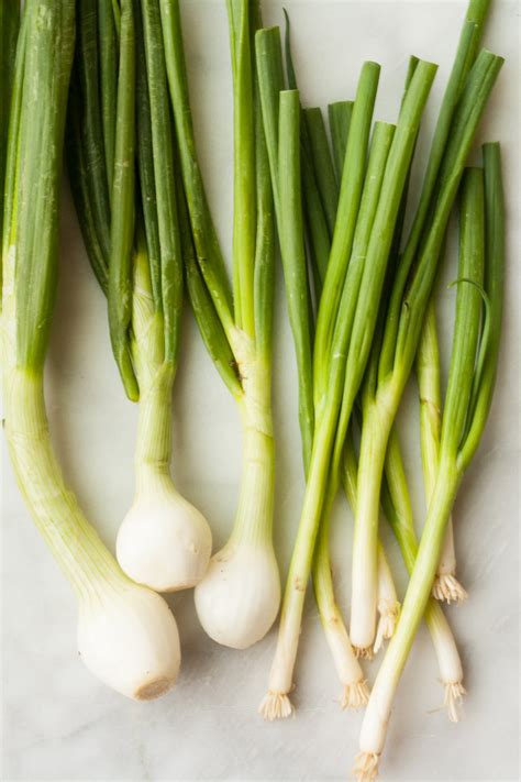 Scallions Vs Green Onions