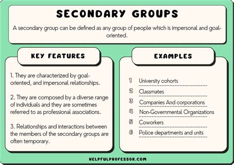 Secondary Groups In Sociology Definition 10 Examples 2024