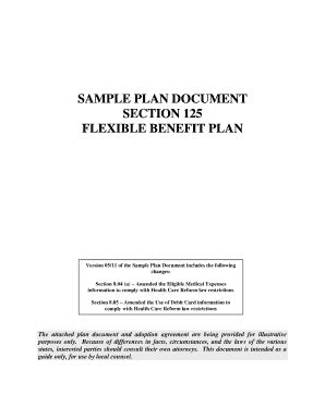 Section 125 Plan Document