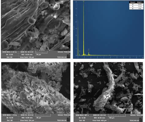 Sem Micrographs With Edx Of Wheat Straw Ash At 650 C Download