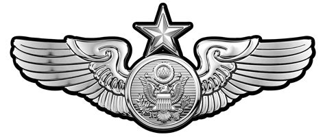 Senior Enlisted Wings