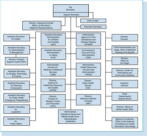 Sfdph Organizational Chart