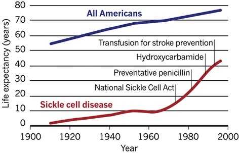 Sickle Cell Disease Life Expectancy