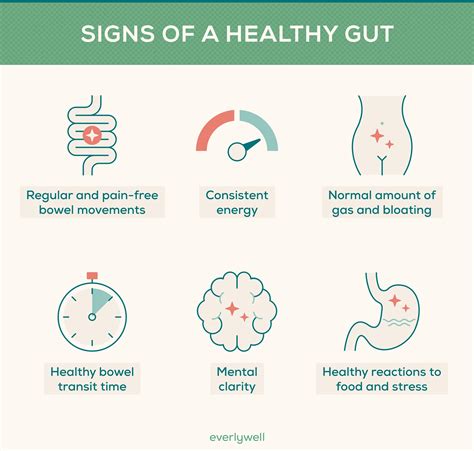 Signs Of A Healthy Gut Digestive Health Tips Everlywell