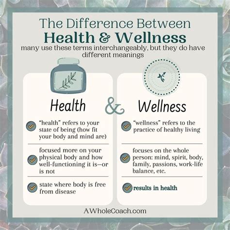 Similarities Between Health And Wellness