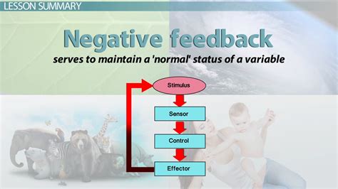 Simple Definition Of Negative Feedback