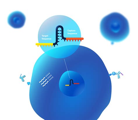 Single Cell Crispr Screening 10X Genomics