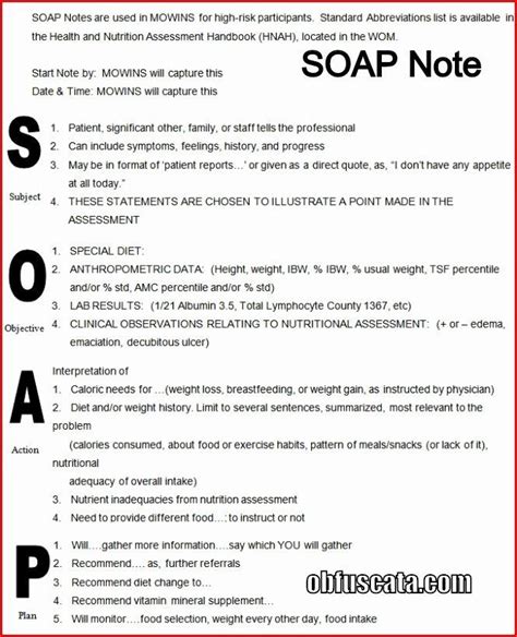 Soap Note Example Nurse Practitioner