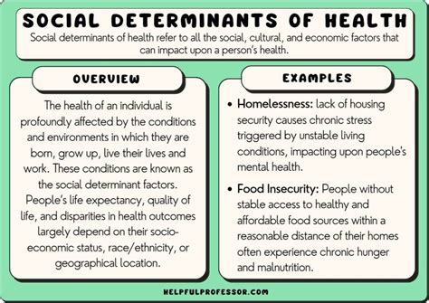 Social Cultural And Economic Determinants Of Well Being