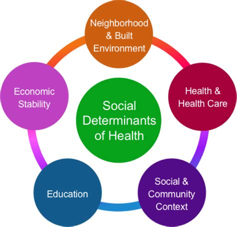 Social Determinants Of Health Examples