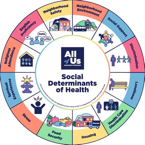 Social Determinants Of Health Game