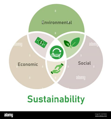 Social Environmental Factors