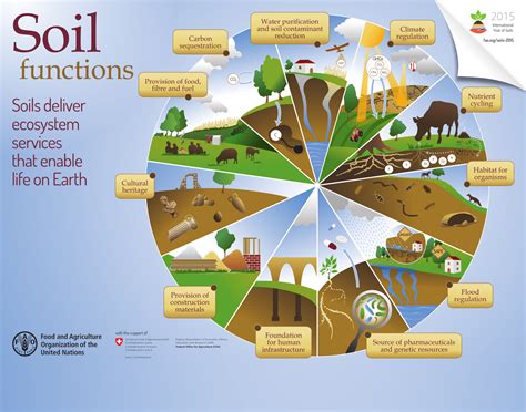 Soil Health Definition Fao