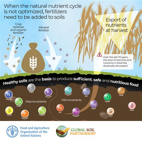 Soil Health Fao