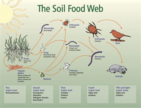 Soil Health Indicators Pdf