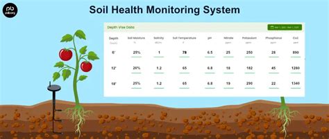 Soil Health Monitoring System