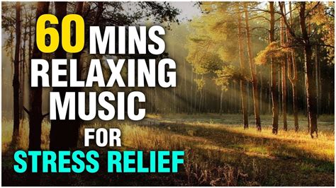 Songs For Anxiety Relief