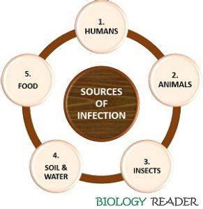 Source Of Infection