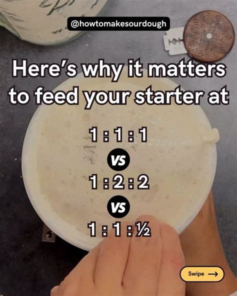 Sourdough Starter Vs Yeast Ratio