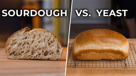 Sourdough Vs Yeast Bread