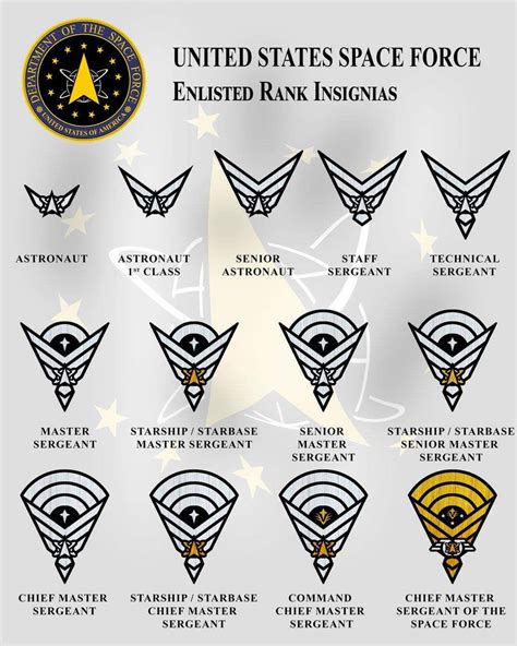 Space Force Branch Of Military