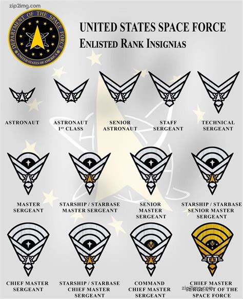 Space Force Entry Requirements