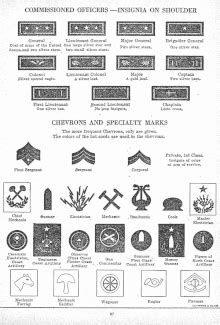 Specialist Rank Wikipedia