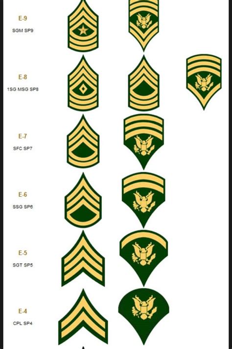 Specialist Vs Corporal Army