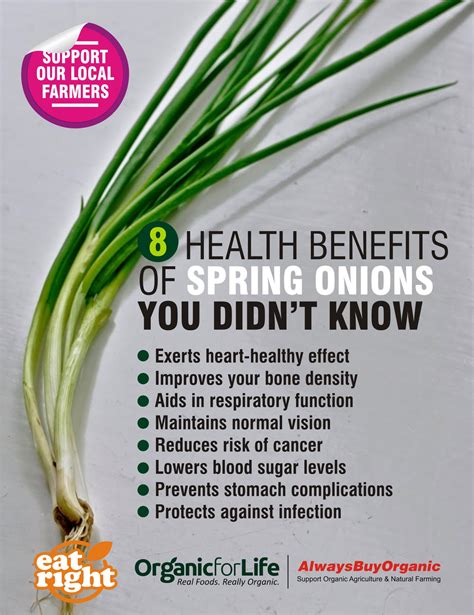 Spring Onion Benefits In Pregnancy