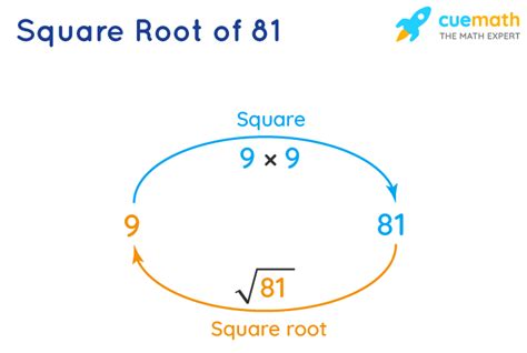 Square Root Of 81