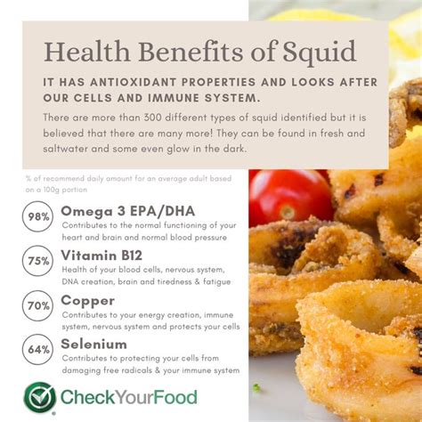 Squid Benefits For Diabetes