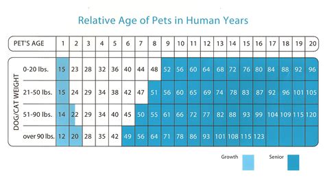 Stellis Clinic My Chart