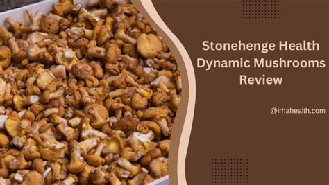 Stonehenge Dynamic Mushrooms Reviews