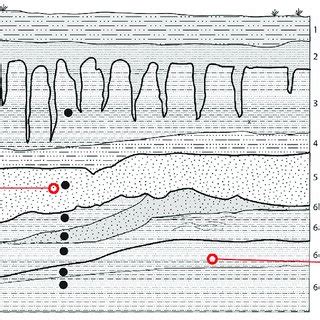 Stratigraphic Profile Of Operation C 2 Image Created By David Lentz Download Scientific Diagram