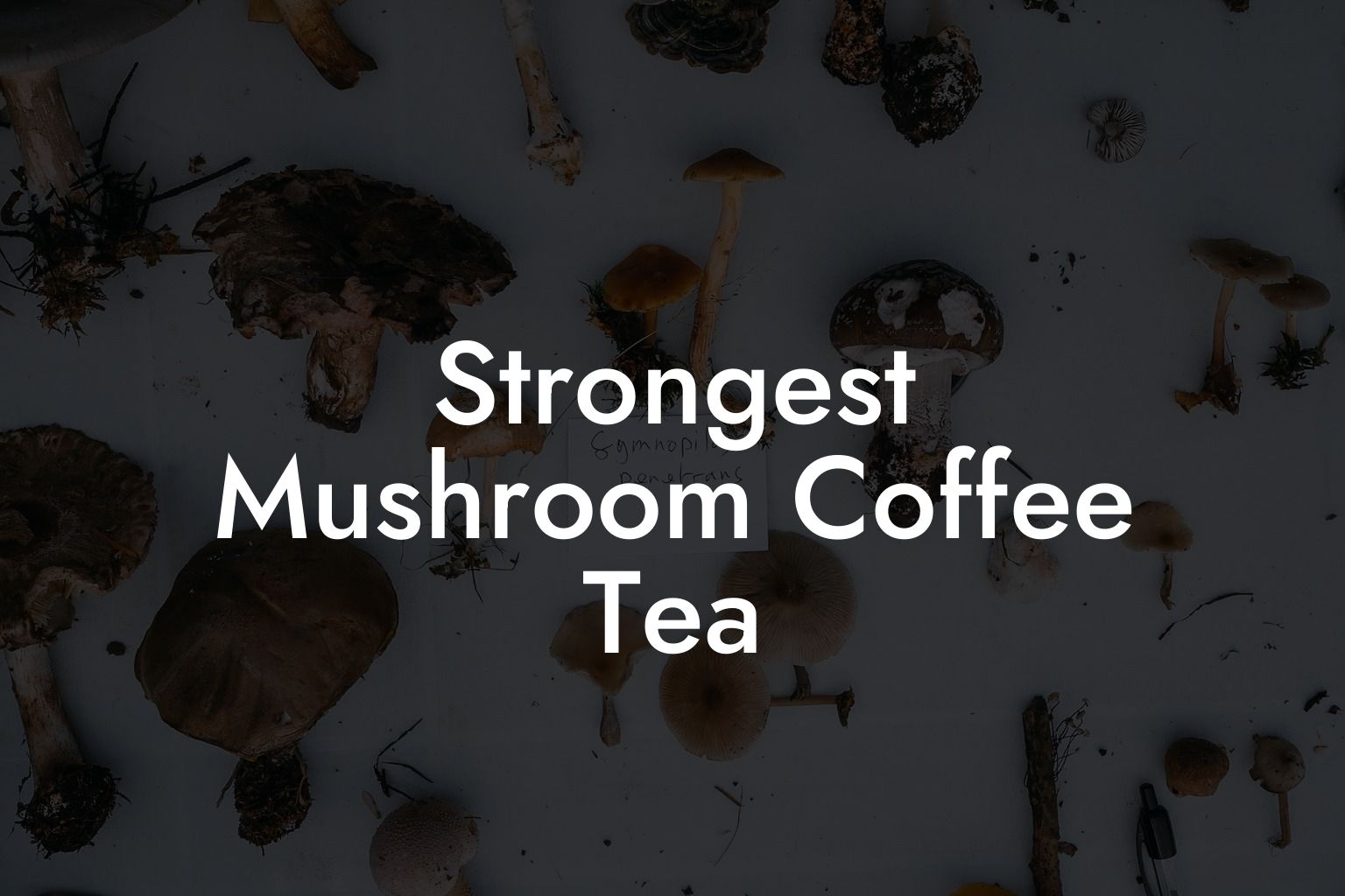 Strongest Mushroom Supplements