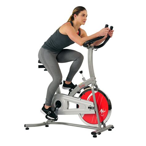 Sunny Indoor Cycling Exercise Bike