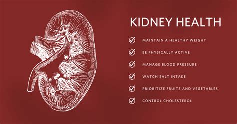 Supplements That Will Affect Kidneys