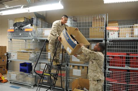 Supply Logistician Marines