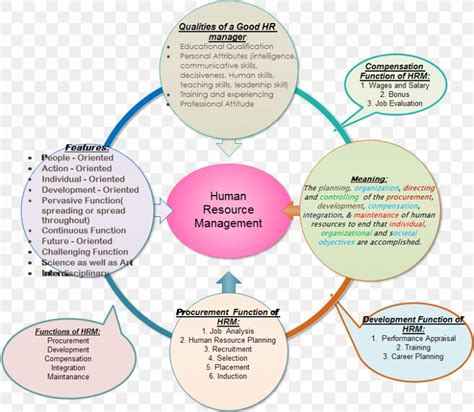 Talent Management Human Resource Management Human Resources Mind Map Water Is Life Resource Company Text Png Pngegg