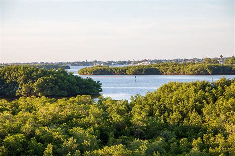 Tampa Bay Estuary