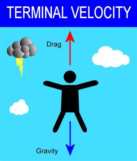 Human Terminal Velocity Falls