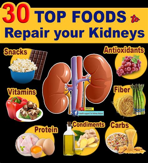 The 10 Best Foods For Kidney Health Food For Kidney Health Foods Good For Kidneys Healthy Book